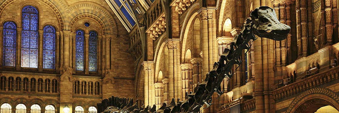 The Natural History Museum